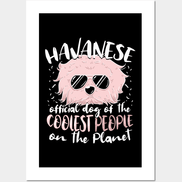 Havanese Tshirt cool cuban bichon dog Wall Art by biNutz